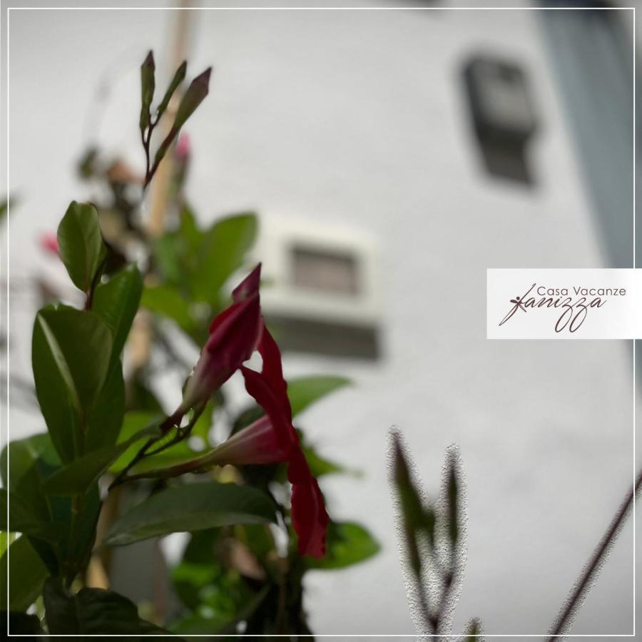 Sofia Stone House Affittacamere Alberobello Zewnętrze zdjęcie